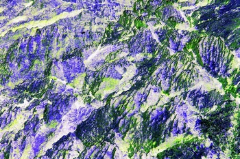 AP 126A1
